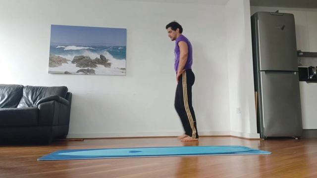 CAPOEIRA LESSONS By MESTRE PAPA-LEGUAS-(Au Variations /CARTWHEELS) смотреть онлайн