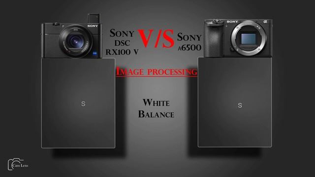 Sony DSC RX100 V vs Sony α6500 смотреть онлайн