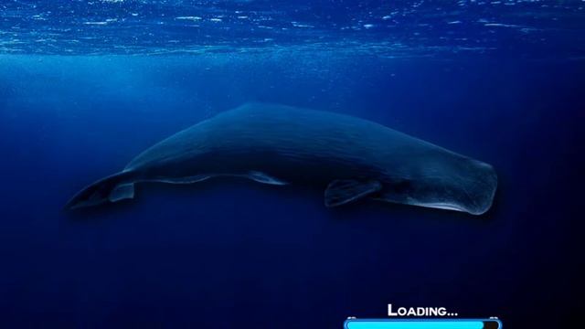 Blue Whale Shooter challenge - kill the hunters and save humans смотреть онлайн