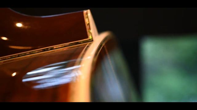 【digimart】Martin CTM-D Style45 Italian Alpine/Madascar Rosewood Deluxe II смотреть онлайн