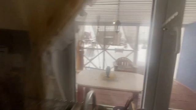?Длинные дачные выходные ?. Все что у нас произошло,новинки и обзор ? смотреть онлайн
