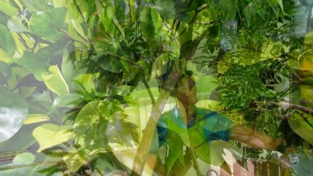 Искусственные цветы в интерьере купить декоративные для интерьера квартиры ландшафта сада дачи дома смотреть онлайн