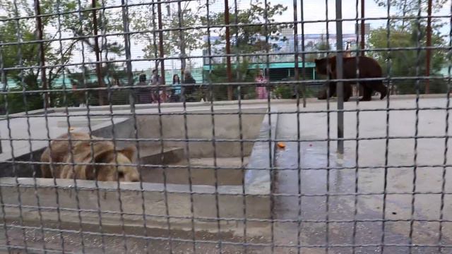 Юра под душем))) Тайган. смотреть онлайн