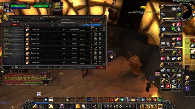 Leveling Route 20-44[HORDE]🔥Mining/Herbalism 75-200🔥 WARMANE/FROSTMOURNE Season 2