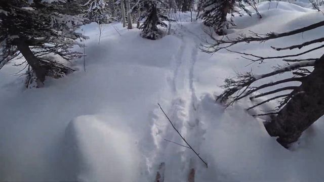 Шерегеш, 2023.11.23 смотреть онлайн