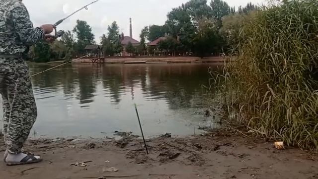 Мертвый Донец 3 кгешных сазанчика за 5 часов ! смотреть онлайн