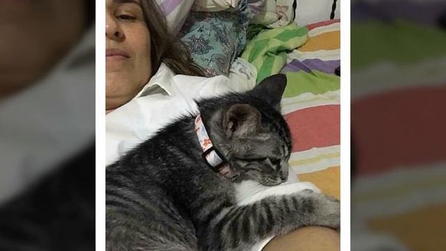 «В нашем доме не будет кота- даю тебе 2дня."-Мама запретила оставлять котёнка,но что-то пошло не та смотреть онлайн
