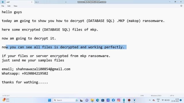 MKP. (makop) Decryptor For SQL Or DATABASE Files смотреть онлайн