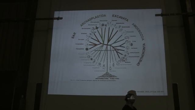 Современная многоцарственная система органического мира. Белякова Г.А. 18.04.2015 edit смотреть онлайн