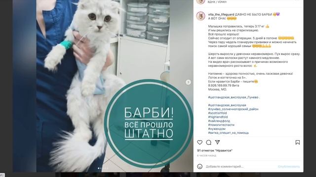 Новогоднее обращение канала "Другая История". смотреть онлайн