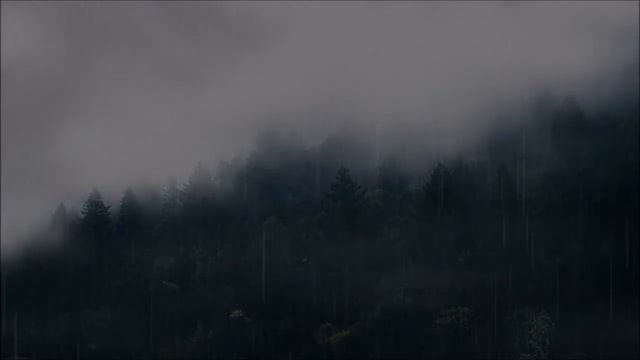 Страшные истории на ночь "Обитатели древней топи" смотреть онлайн