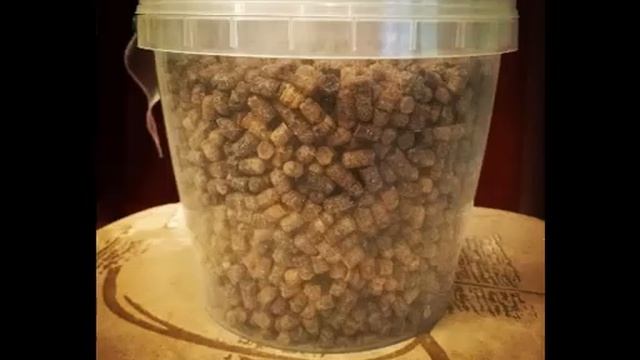 Что такое пчелиная перга  Польза перги для человека