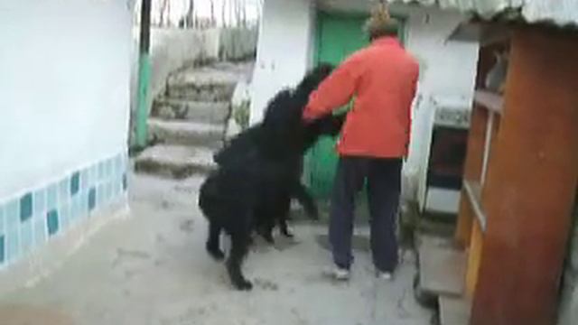 п-к  Роман-Кош..РОМАН-КОШ ВЕНЕЦИЯ И БАЛАКЛАВА . ВСТРЕЧА ДРУЗЕЙ