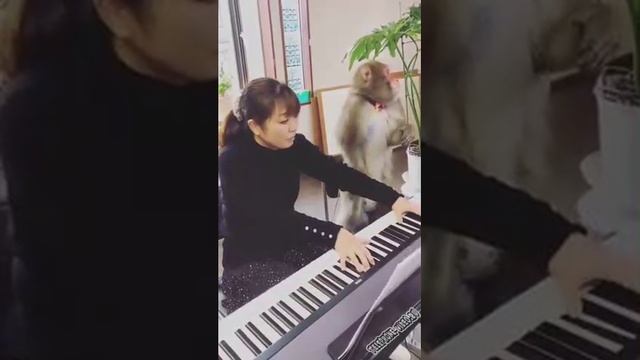 Хватит фальшивить! смотреть онлайн