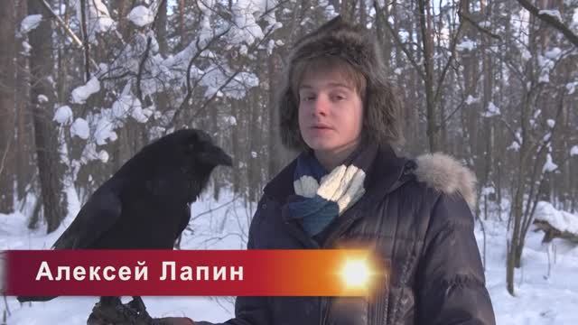 В МИРЕ ЖИВОТНЫХ смотреть онлайн