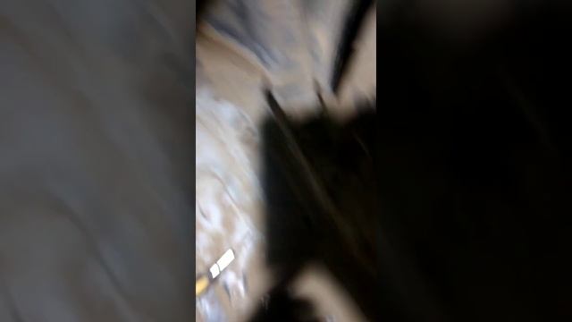 Тойота делают реальные машины смотреть онлайн