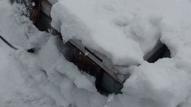 Больше ждать нельзя/сибирский пчелоблог февраль 2023 смотреть онлайн