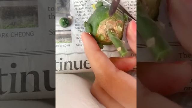 Degrafting Lophophora from Pereskiopsis (Update Link in the Description) смотреть онлайн