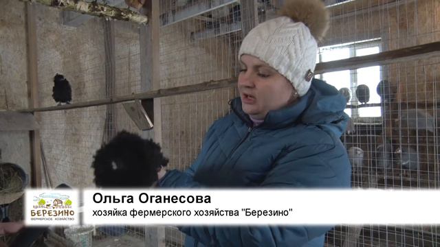 Фермерское хозяйство "Березино". Ручные курицы. смотреть онлайн