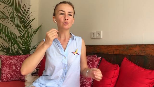 Сколько часов в день нужно говорить на английском. Английский для путешествий смотреть онлайн