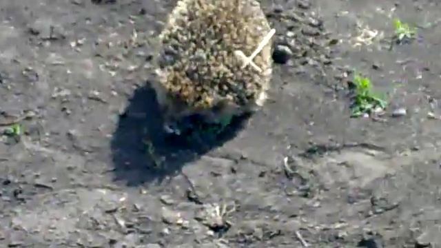 Ёжик в поселке Колтырак - часть 1 смотреть онлайн