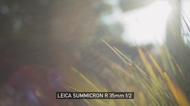 LEICA R | Vintage Cine Lenses For Filmmakers