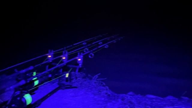 «Голодяевский» 2022 Семейный карпфишинг БИГ НАШ !! 13+ смотреть онлайн