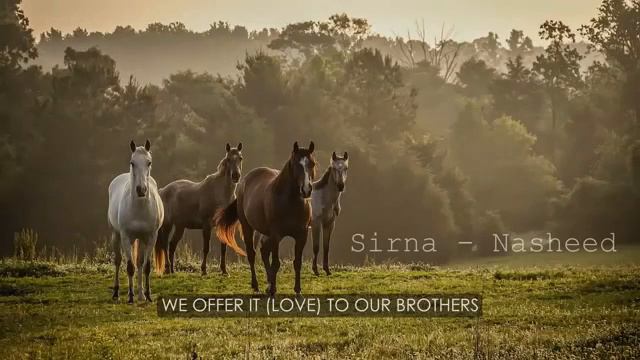 BEST NASHEEDS   Sirna Nasheed