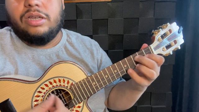 MÚSICA DE CARNAVAL PARA TOCAR NO CAVACO | COMO TOCAR O SAMBA ENREDO O CAMPEÃO NO CAVAQUINHO? смотреть онлайн