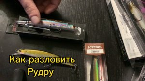 Как разловить Рудру