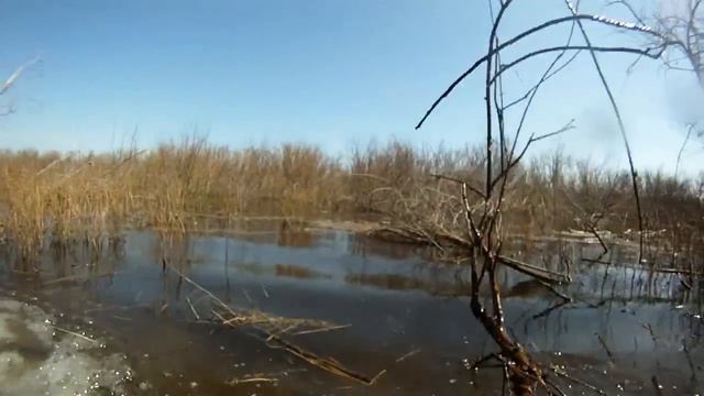 вездеход "ПЕТРОВИЧ" и болото.mp4 смотреть онлайн