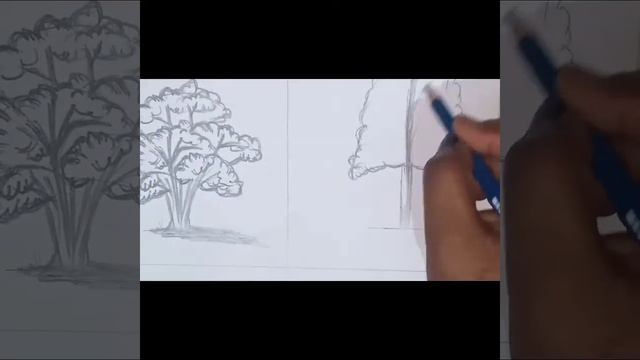 #dailyart #sketchingforbegginners || Basic tricks on how to sketch trees? смотреть онлайн