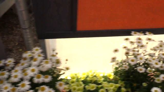2014 Spring Trials: Green Fuse Botanicals смотреть онлайн