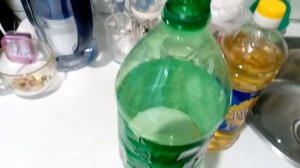 как избавиться от мышей