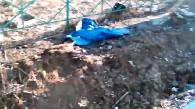 Бернгардовка смотреть онлайн