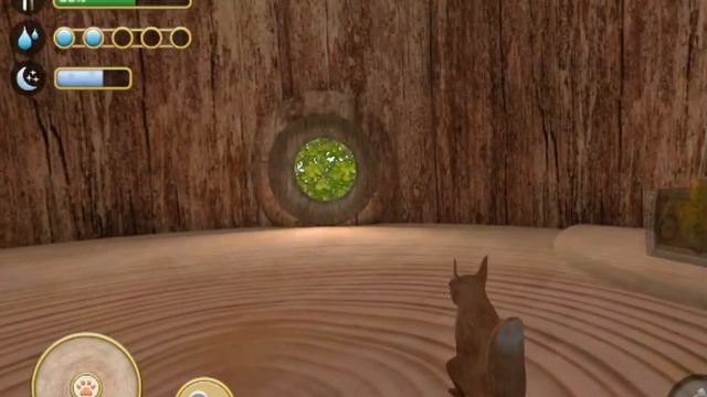 Симулятор белки2 (Я долго монтировала это видео можно 20-30 лайков?) смотреть онлайн