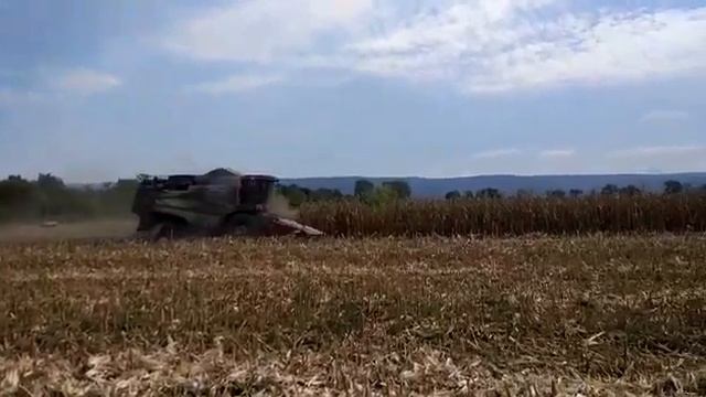 Жатва 2019 на кукурузе смотреть онлайн