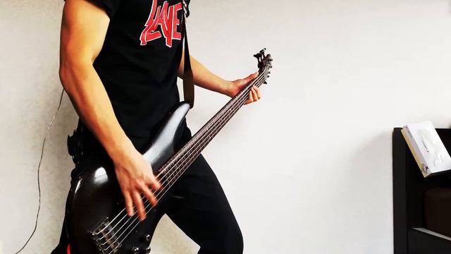 Skillet - Whispers In The Dark || Bass Cover смотреть онлайн