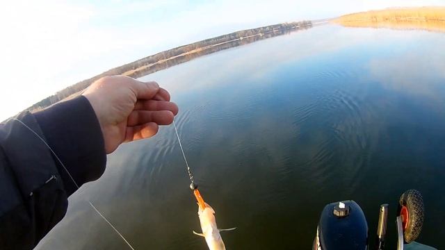 Судачки пусть гуляют смотреть онлайн