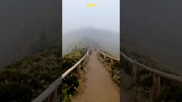 AZORES. ISLA SAN MIGUEL. АЗОРСКИЕ ОСТРОВА. ОСТРОВ САН МИГЕЛ. смотреть онлайн