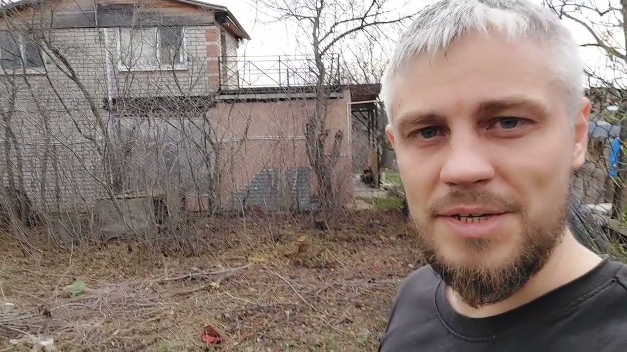 Весенняя посадка ежевики Блэк Джем, сажаю ежевику первый раз. смотреть онлайн