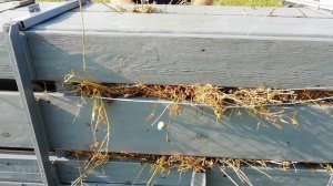 Самодельный пресс для сена. ПЕРВОЕ  Испытание.