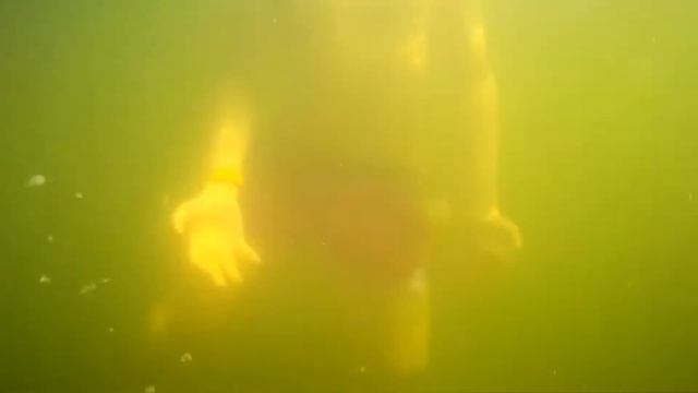 Плаваем под водой на пруд! смотреть онлайн