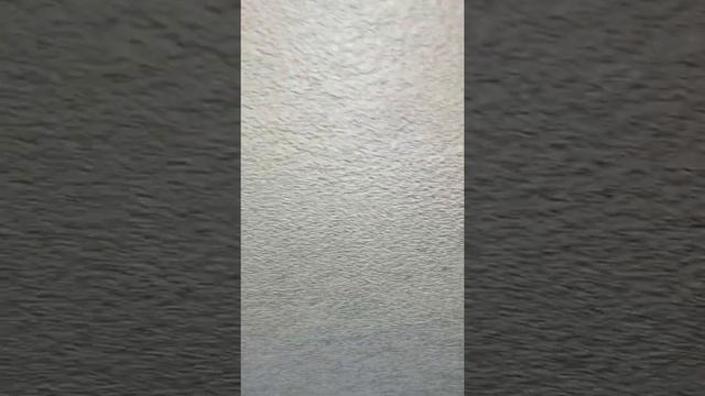 Интерьерная Архитектоника Пространства