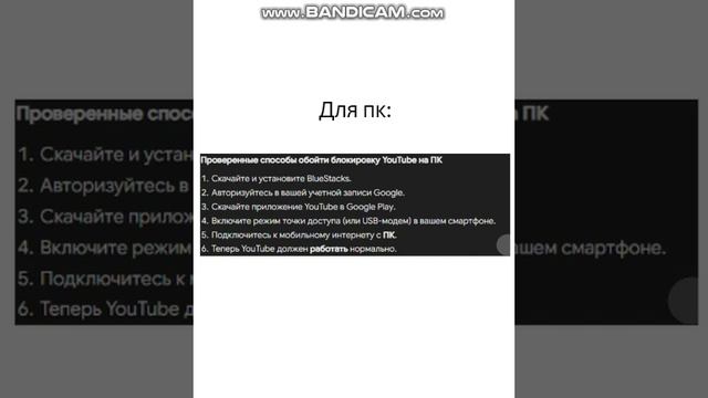 TimkaPlay_original_2024