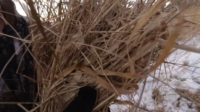 ПОШЛИ ЗА ТРАВОЙ ПРОВЕРКА ЛЬДА/РЫБАЛКА В ДЕКАБРЕ УЖЕ СКОРО/ЗИМНЯЯ РЫБАЛКА/ПОДСТИЛКА ДЛЯ КУРИЦ/СЕНОКО