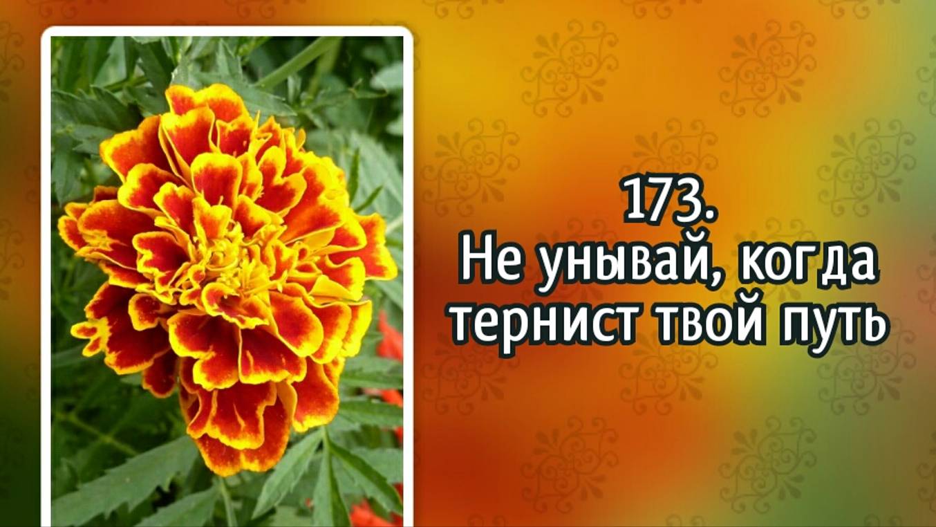Гимны надежды 173 Не унывай, когда тернист твой путь (-) смотреть онлайн
