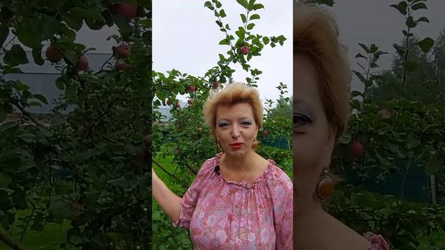 Сельскохозяйственная микроперепись 2021. Что это? Часть 2. смотреть онлайн