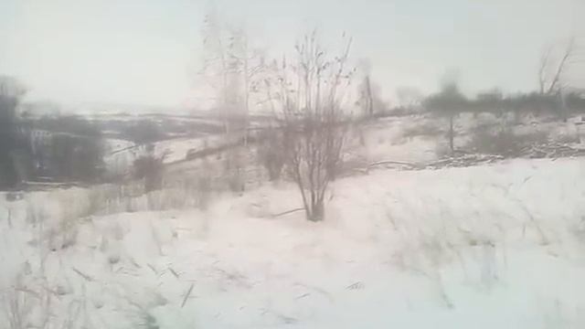 ОХОТА С ГОНЧИМИ НА КОСУЛЮ смотреть онлайн
