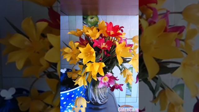 Нашим коллегам, работникам детского сада "Теремок" посвящается смотреть онлайн